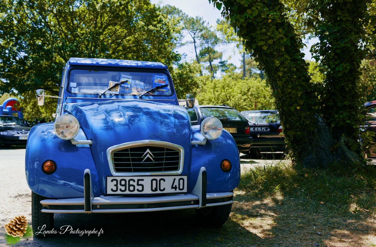 🚗  Les 10 ans du Club Loun Rétro : Patrimoine Roulant au Bord du Lac de Léon